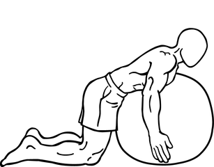 【バックエクステンションの種類とやり方】自重・ベンチ・マシンでの脊柱起立筋の鍛え方