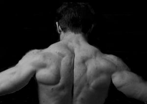 【フェイスプルのバリエーションとやり方】三角筋後部を集中的に鍛える筋トレ方法を解説